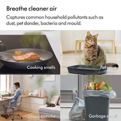 Dyson Purifier Cool PC1™ Air Purifier Fan | TP11 | Black